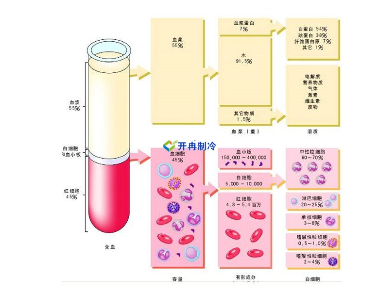 -30℃～-80℃血浆蛋白低温冷冻库规范，冷库安装价格